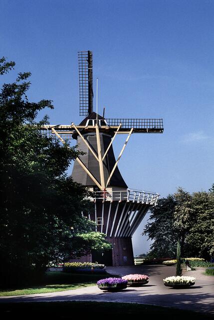 Die Mühle im Keukenhof