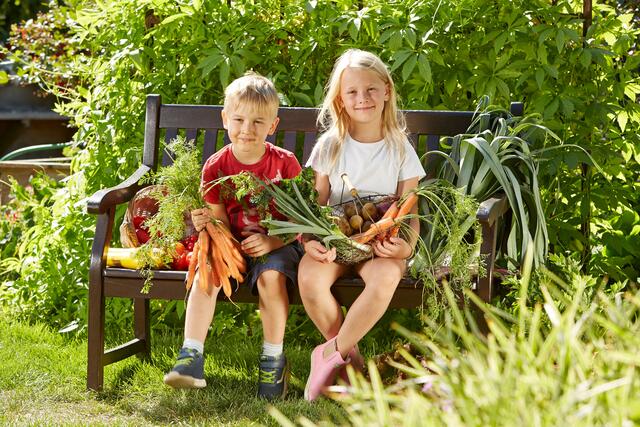 Wenn der Garten zum Abenteuerspielplatz wird. Selbst Gemüse und Obst zu ernten, ist für Kinder ein besonderes Vergnügen.
 | Foto: DJD/SPERLI