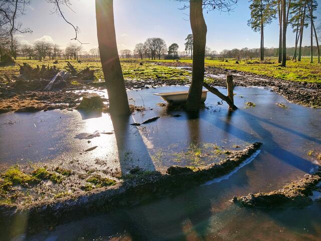 Sonnenschein und Eisflächen in der Feldmark bei Garbsen-Osterwald | Foto: Shima Mahi