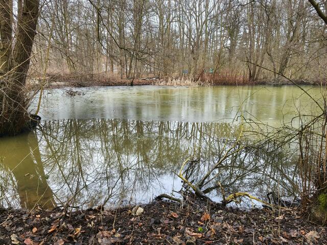 Zweierlei Spiegelungen | Foto: Shima Mahi