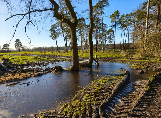 Strahlend blauer Himmel | Foto: Shima Mahi