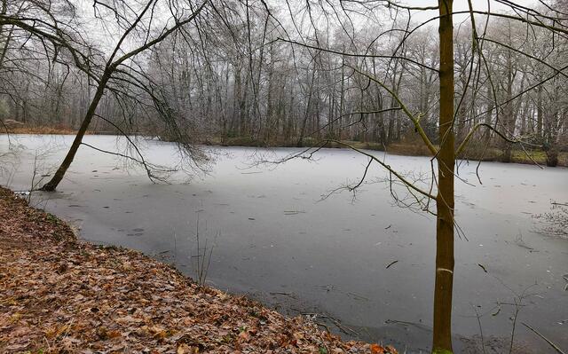 Gefrorenes gab es auch im Stadtpark Langenhagen. | Foto: Shima Mahi