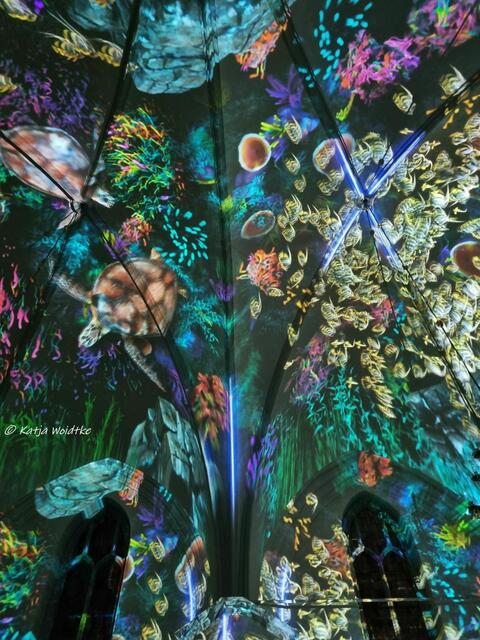 Der Anfang von Allem (Foto: Katja Woidtke)

Lichtshow GENESIS in der Kreuzkirche Hannover | Foto: Katja Woidtke