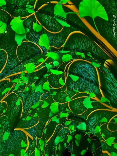 Der Anfang von Allem (Foto: Katja Woidtke)

Lichtshow GENESIS in der Kreuzkirche Hannover | Foto: Katja Woidtke