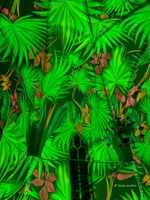 Der Anfang von Allem (Foto: Katja Woidtke)

Lichtshow GENESIS in der Kreuzkirche Hannover | Foto: Katja Woidtke