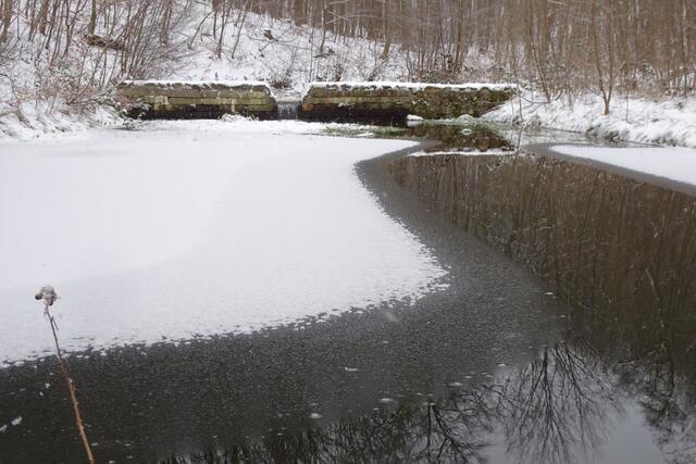 der halb zugefrorene Seerosenteich. Ich vermute, dass der Teich schon vor über 100 Jahren für den Kurgästebetrieb  angelegt wurde. 