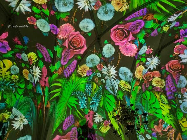 Der Anfang von Allem (Foto: Katja Woidtke)

Lichtshow GENESIS in der Kreuzkirche Hannover | Foto: Katja Woidtke