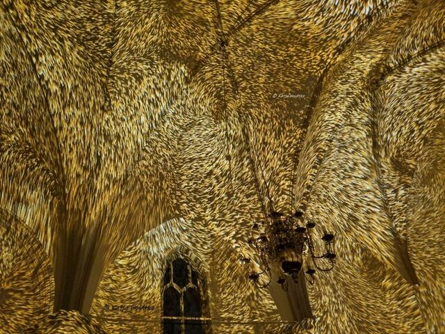 Der Anfang von Allem (Foto: Katja Woidtke)

Lichtshow GENESIS in der Kreuzkirche Hannover | Foto: Katja Woidtke