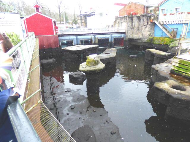 Yukon Bay wird gereinigt