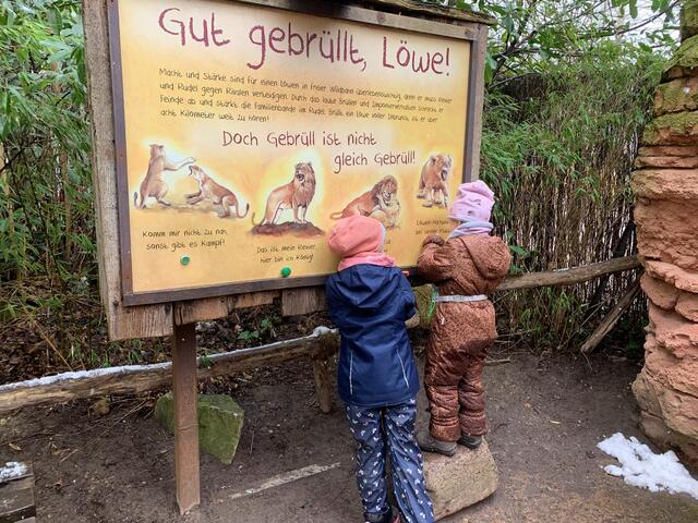 Hier lassen die Kinder den Löwen brüllen