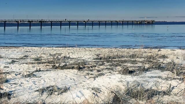 Am Naturstrand der Wismarbucht. Foto: Helmut Kuzina
