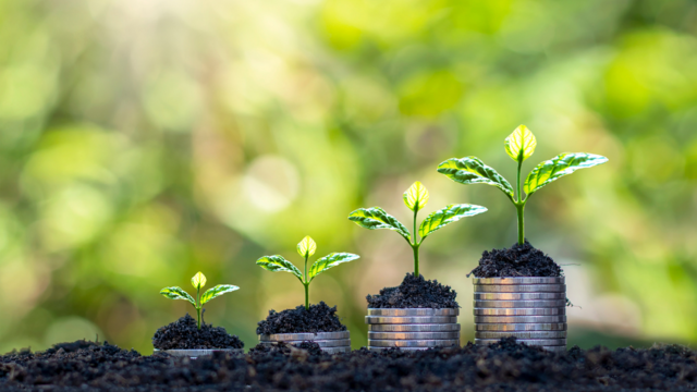 Jetzt Förderanfrage einreichen | Foto: © ÖMR