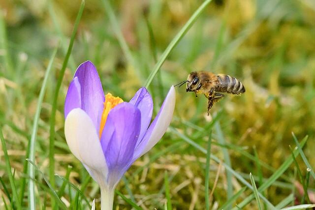 Foto: Copyright Andreas Schäfer