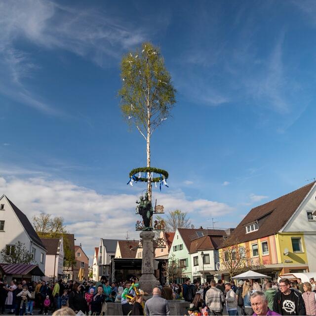 Tanz in den Mai – auch heuer wieder traditionell am 30. April. | Foto: Stadt Wertingen