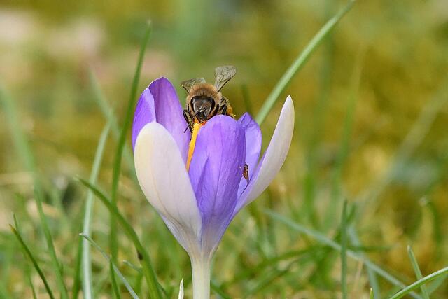 Foto: Copyright Andreas Schäfer