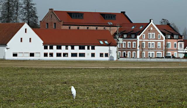 Auf dieser Wiese vor der Gailenbacher Mühle verbringt er oft seine Ruhephase