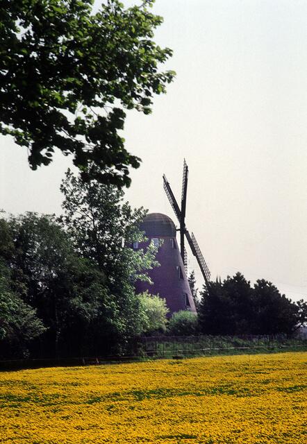 Die Windmühle von Vöhrum