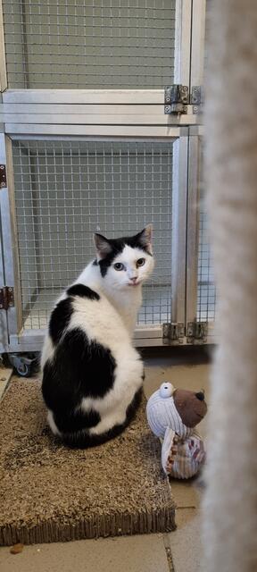 Sissi | Foto: Sabine Pollok