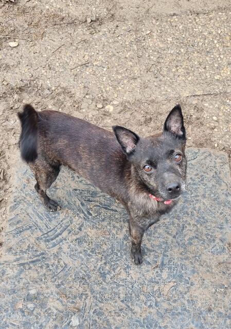 Schneewittchen | Foto: Sabine Pollok
