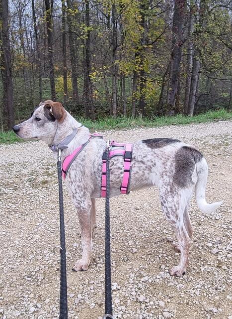 Elisa | Foto: Sabine Pollok