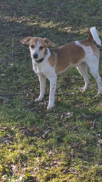 Luca | Foto: Sabine Pollok