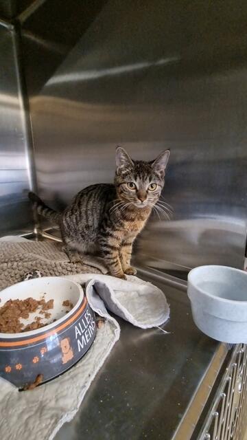 Melina | Foto: Sabine Pollok