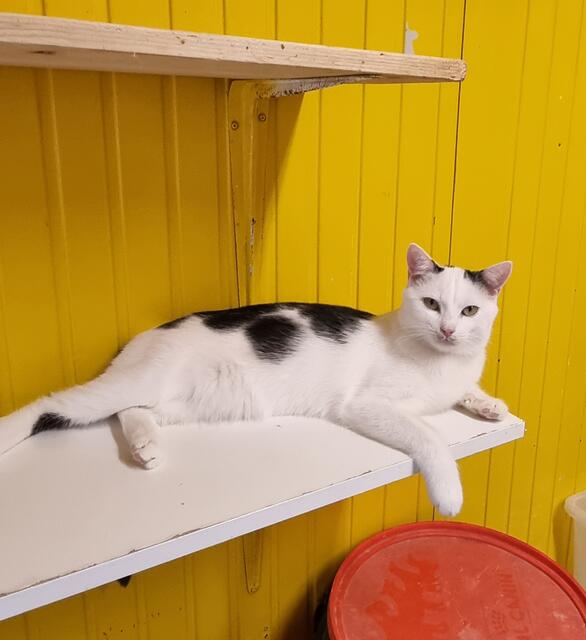 Snow | Foto: Sabine Pollok