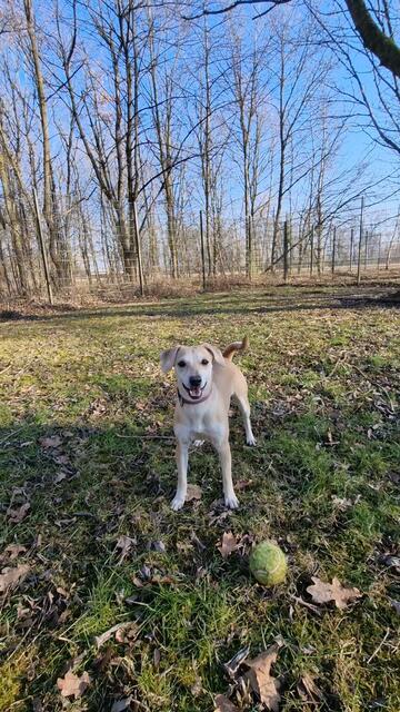 Lana | Foto: Sabine Pollok