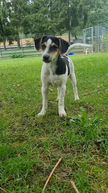 Luigi | Foto: Sabine Pollok