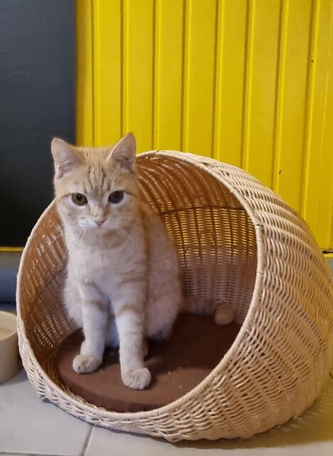 Bisquit | Foto: Sabine Pollok