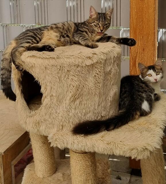 Konrad und Kasimir | Foto: Sabine Pollok