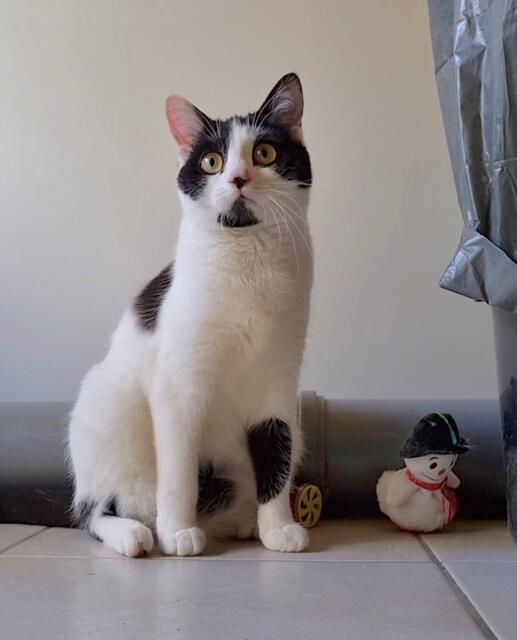 Yuna | Foto: Sabine Pollok