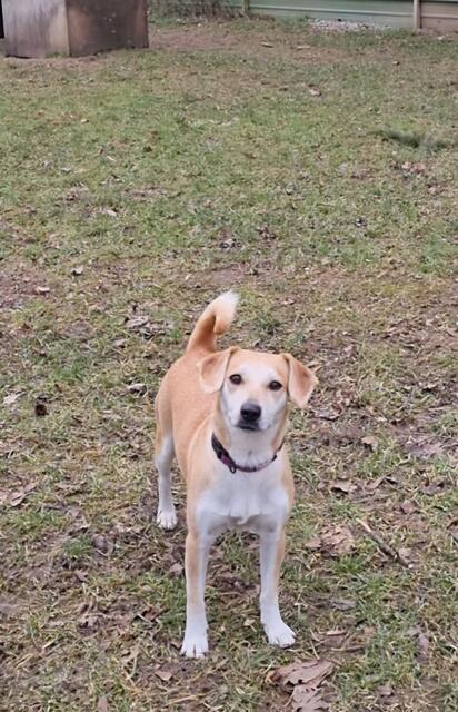 Loredana | Foto: Sabine Pollok