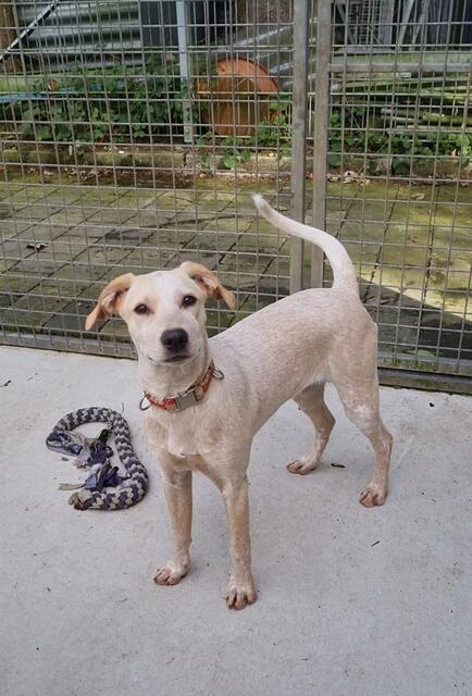 Emily  | Foto: Sabine Pollok