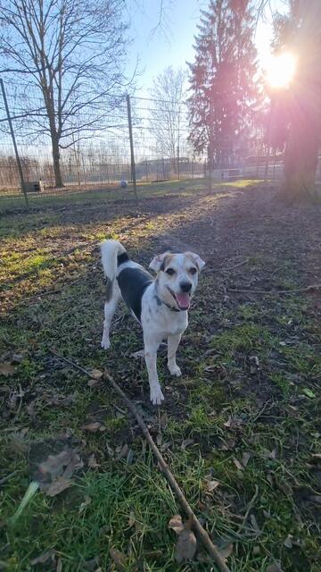 Lucia | Foto: Sabine Pollok