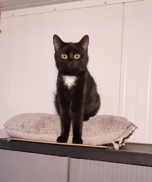 Thalia | Foto: Sabine Pollok