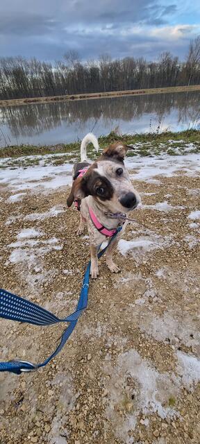 Elisa | Foto: Sabine Pollok