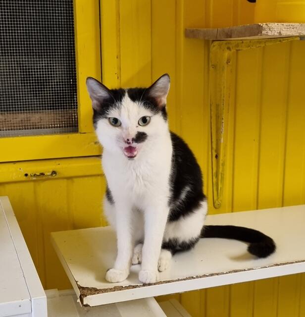 Alois | Foto: Sabine Pollok