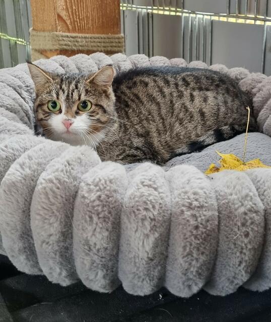 Tami | Foto: Sabine Pollok