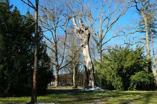 Park Rethen