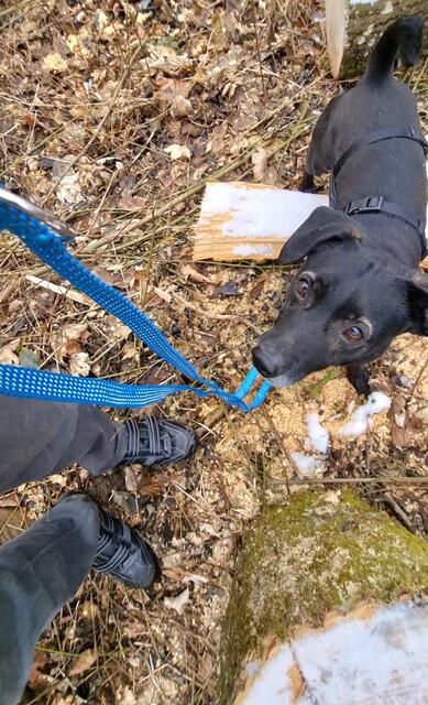 Blacky | Foto: Sabine Pollok