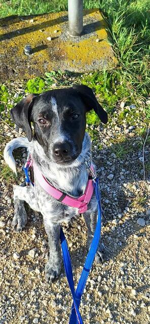 Emil | Foto: Sabine Pollok