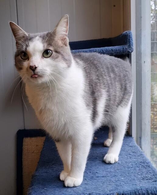 Alfred | Foto: Sabine Pollok