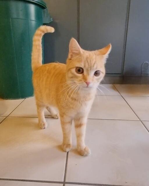 Bisquit | Foto: Sabine Pollok