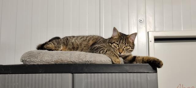 Konrad | Foto: Sabine Pollok