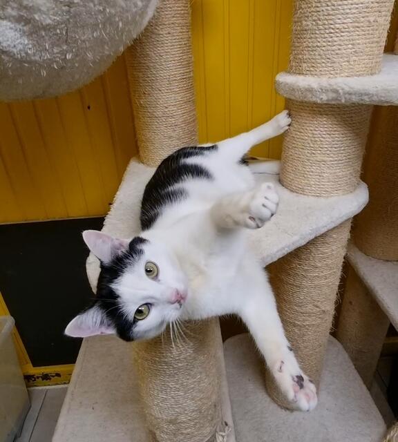 Schnösel | Foto: Sabine Pollok