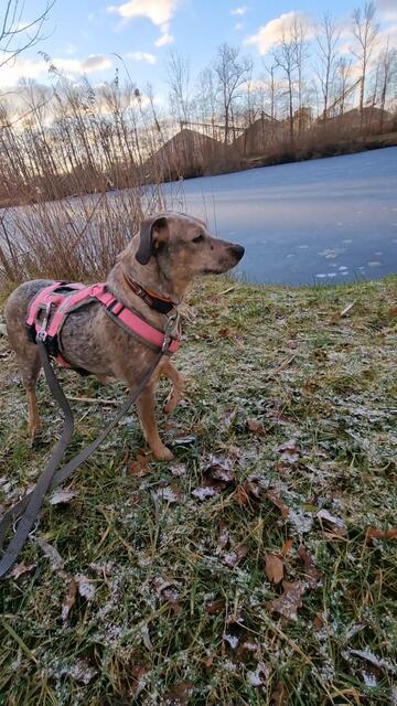 Emma | Foto: Sabine Pollok