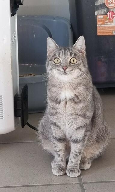 Kalea | Foto: Sabine Pollok