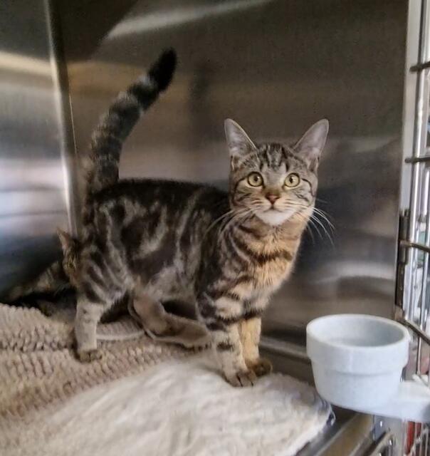 Melissa | Foto: Sabine Pollok