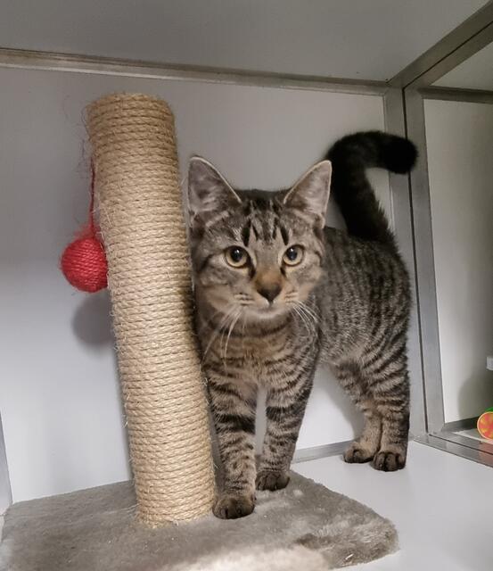 Sparrow | Foto: Sabine Pollok